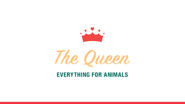 The Queen Pet Shop